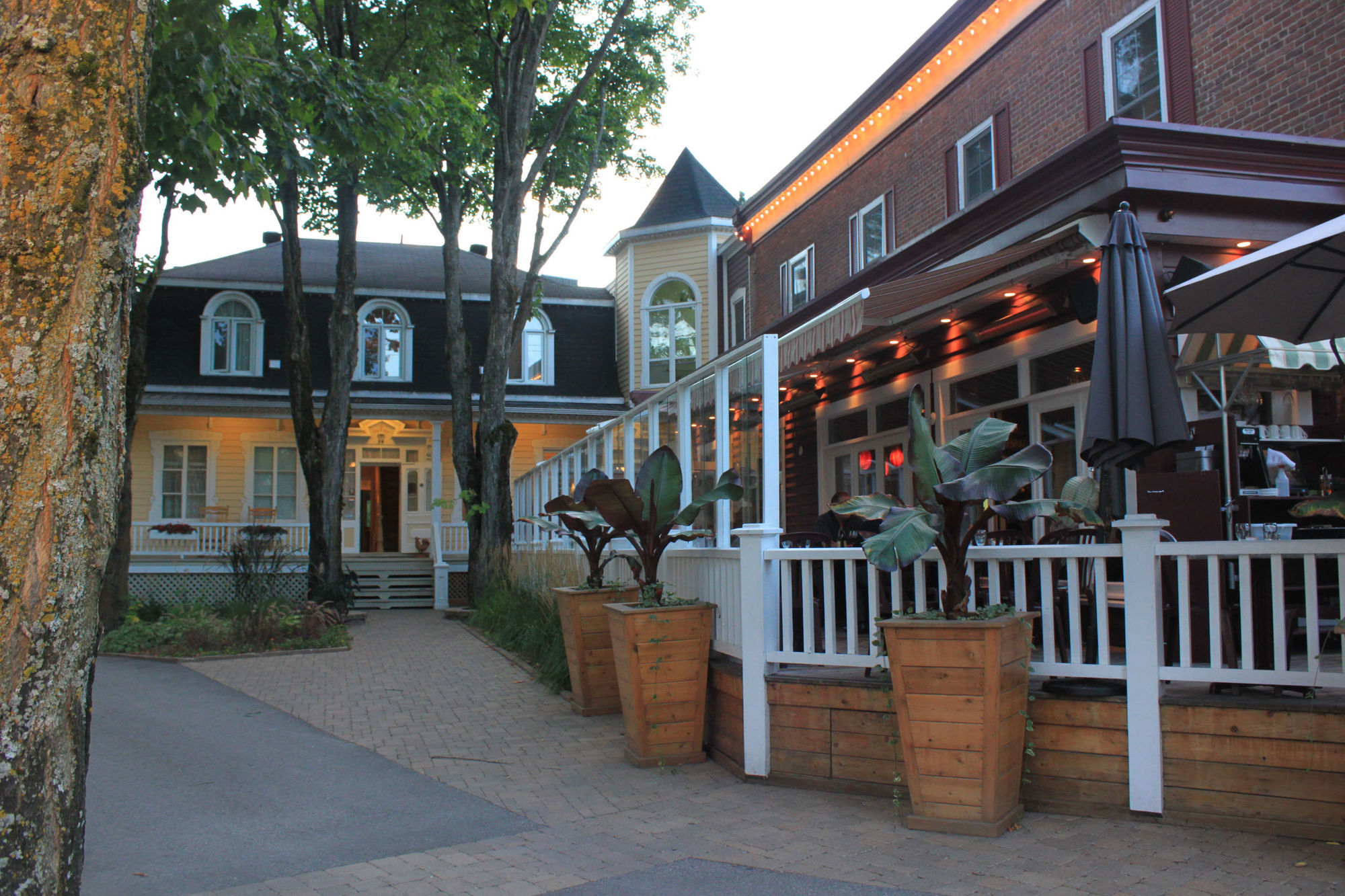 Auberge La Muse Baie-Saint-Paul Eksteriør billede